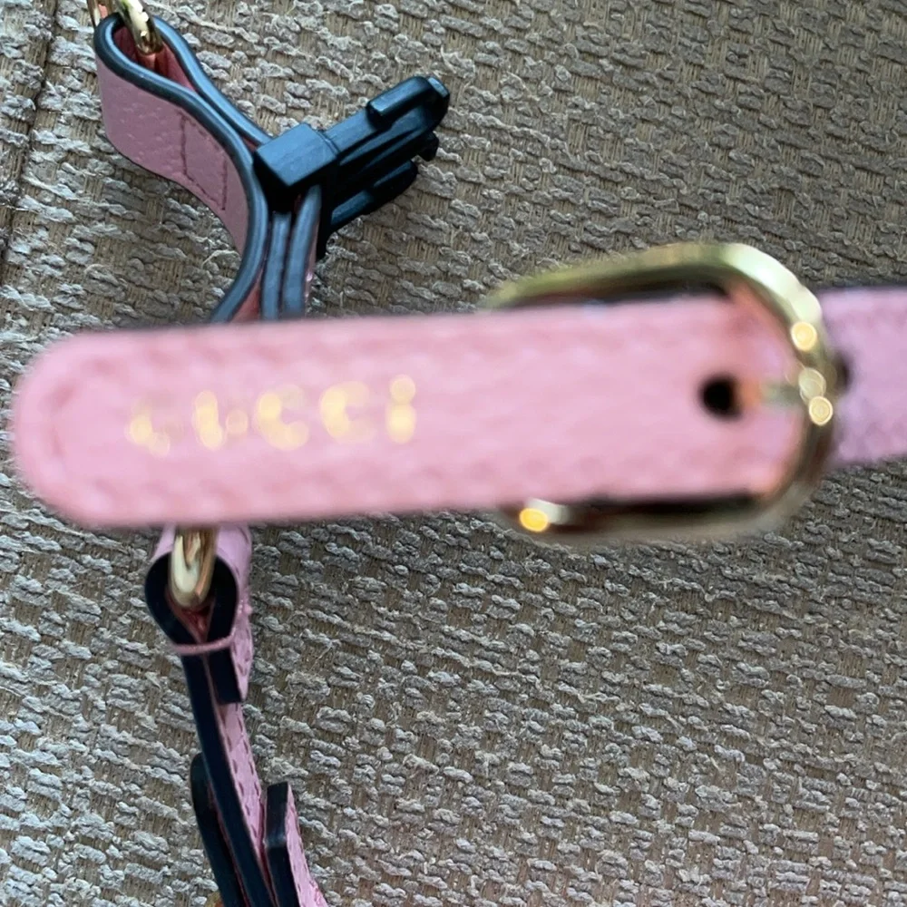 New Gucci dog leash/harness